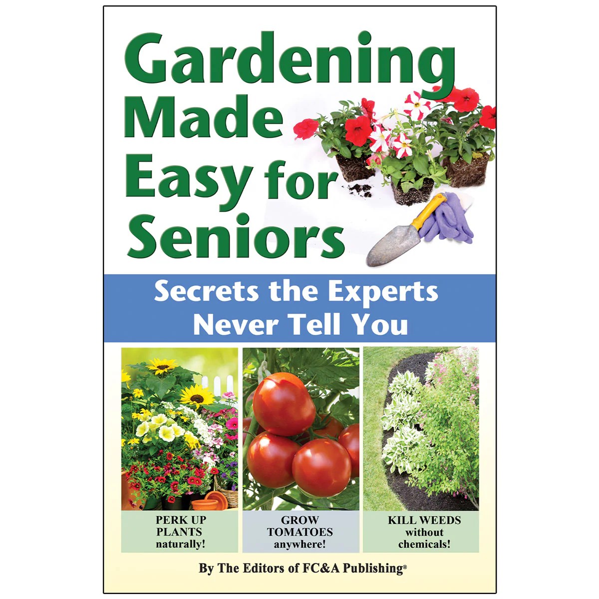 Indoor Gardening Made Easy: Smart Planters and Grow Lights