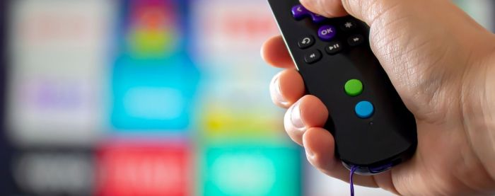Entertainment Hubs: Smart Streaming Devices for Every TV