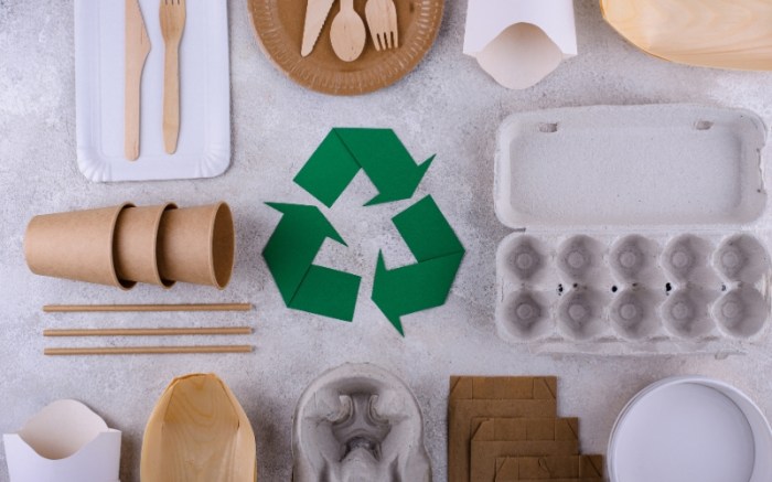 Sustainable Swaps: Eco-Friendly Alternatives for Everyday Products
