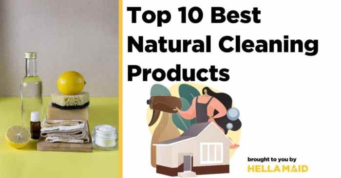Green Cleaning: Natural Products for a Sparkling Home