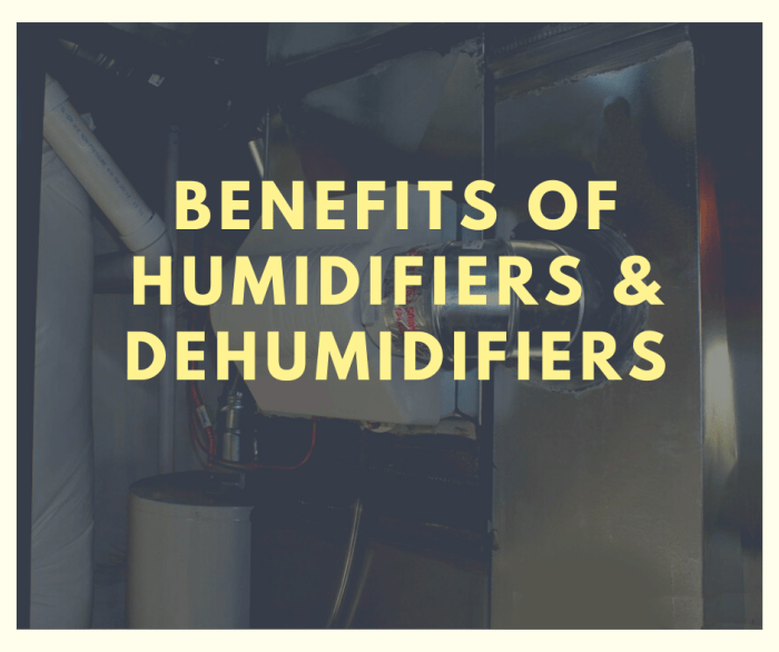 Best Air Filters Purifiers For Homes 2022 - Fresh Air Guru Air Quality Matters: Purifiers and Humidifiers for Healthier Homes