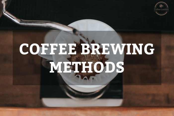 Coffee Lover's Guide: Exploring Premium Beans and Brewing Methods