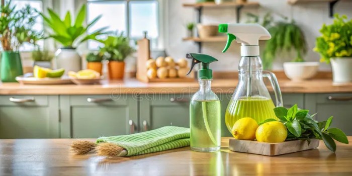 Green Cleaning: Natural Products for a Sparkling Home